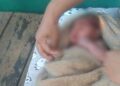 Warga Parung Geger, Bayi Perempuan Baru Lahir Ditemukan Hidup di Semak-semak Pinggir Sungai