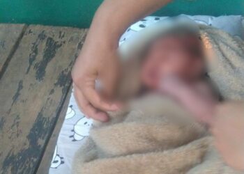 Warga Parung Geger, Bayi Perempuan Baru Lahir Ditemukan Hidup di Semak-semak Pinggir Sungai