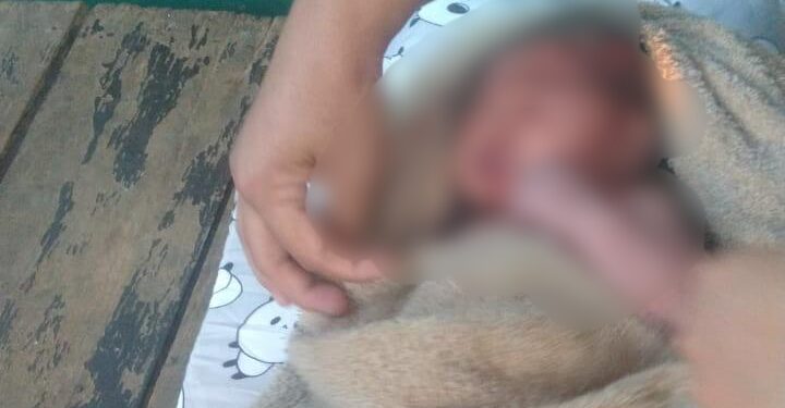 Warga Parung Geger, Bayi Perempuan Baru Lahir Ditemukan Hidup di Semak-semak Pinggir Sungai