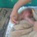 Warga Parung Geger, Bayi Perempuan Baru Lahir Ditemukan Hidup di Semak-semak Pinggir Sungai