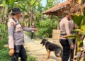 Waduh! Belasan Anjing Pemburu Lepas Pasca Insiden Tewaskan Bocah di Jasinga, Baru 4 Ekor yang Ditangkap