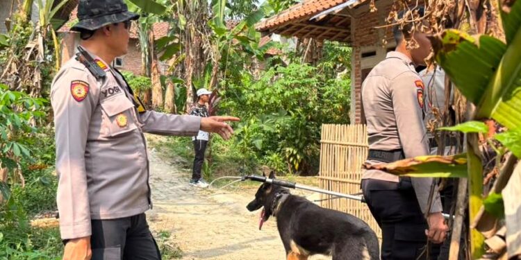 Waduh! Belasan Anjing Pemburu Lepas Pasca Insiden Tewaskan Bocah di Jasinga, Baru 4 Ekor yang Ditangkap