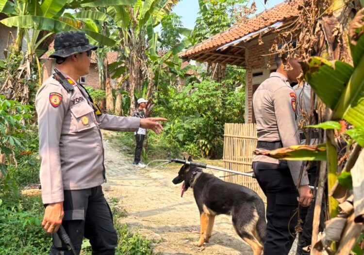 Waduh! Belasan Anjing Pemburu Lepas Pasca Insiden Tewaskan Bocah di Jasinga, Baru 4 Ekor yang Ditangkap