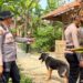 Waduh! Belasan Anjing Pemburu Lepas Pasca Insiden Tewaskan Bocah di Jasinga, Baru 4 Ekor yang Ditangkap