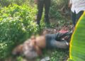 Geger! Pria Tanpa Identitas Ditemukan Tewas di Semak-semak, Polisi Ungkap Dugaan Penyebabnya