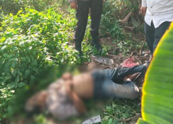 Geger! Pria Tanpa Identitas Ditemukan Tewas di Semak-semak, Polisi Ungkap Dugaan Penyebabnya