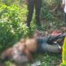 Geger! Pria Tanpa Identitas Ditemukan Tewas di Semak-semak, Polisi Ungkap Dugaan Penyebabnya