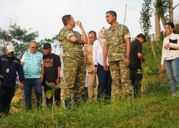 Bukan Sekadar Jalan, Kawasan Bomang Bogor Bakal Disulap jadi Pusat Pertanian Terintegrasi