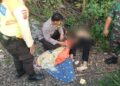 Tragis, Lansia Tewas Tertabrak Kereta Commuterline di Cilebut Bogor, Polisi Ungkap Kronologi