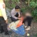 Tragis, Lansia Tewas Tertabrak Kereta Commuterline di Cilebut Bogor, Polisi Ungkap Kronologi