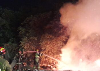Kemarau Memperparah Kebakaran Lahan di Jonggol Bogor, Api Baru Padam Setelah Satu Jam