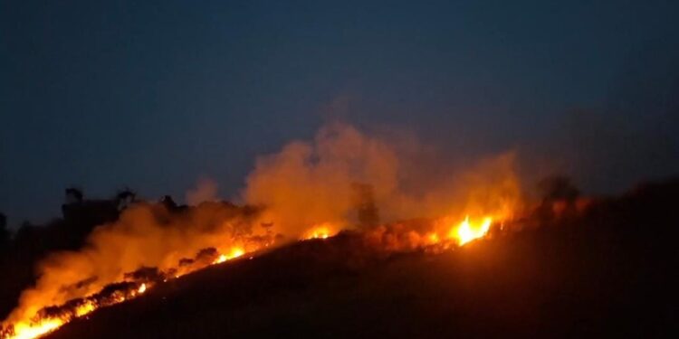 Lahan Alang-Alang di Gunung Wangun Kota Bogor Terbakar, Damkar Kerahkan 5 Mobil Pemadam