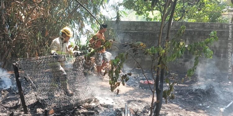 34 Kebakaran Terjadi Selama Musim Kemarau di Kabupaten Bogor, Ini Penyebab yang Paling Sering