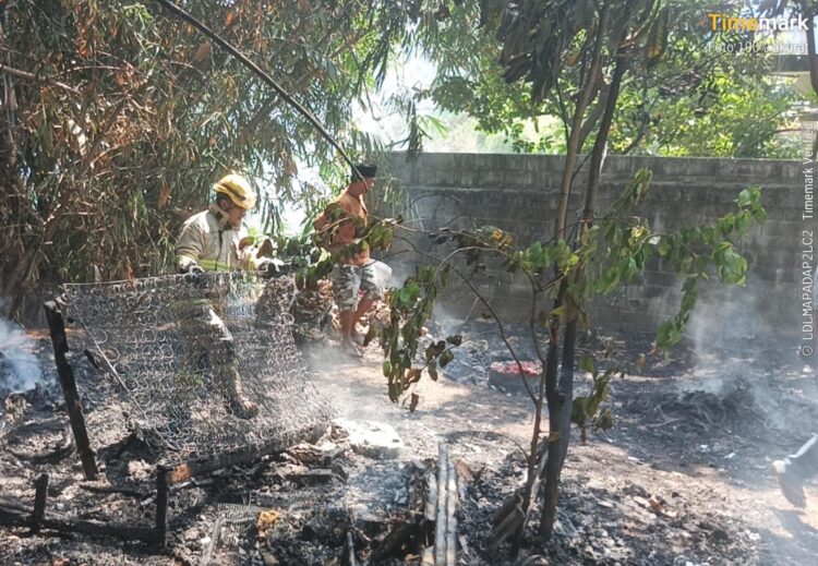 34 Kebakaran Terjadi Selama Musim Kemarau di Kabupaten Bogor, Ini Penyebab yang Paling Sering