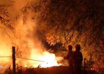 Lahan Pembuangan Limbah di Bojong Kulur Bogor Terbakar, Berawal dari Pembakaran Sampah