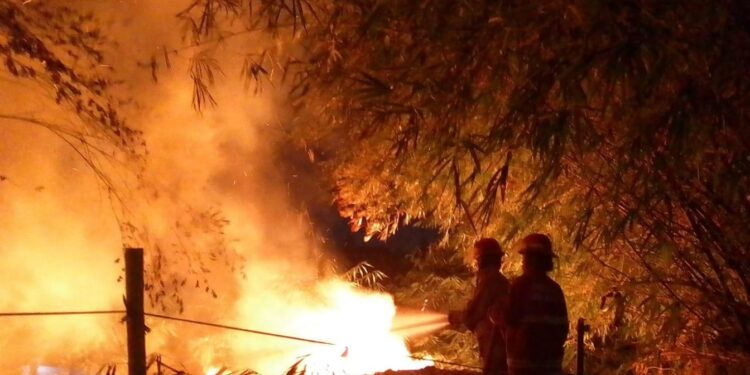 Lahan Pembuangan Limbah di Bojong Kulur Bogor Terbakar, Berawal dari Pembakaran Sampah