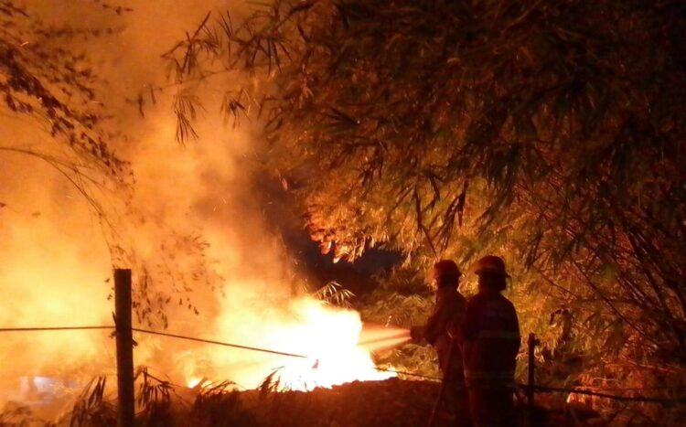 Lahan Pembuangan Limbah di Bojong Kulur Bogor Terbakar, Berawal dari Pembakaran Sampah