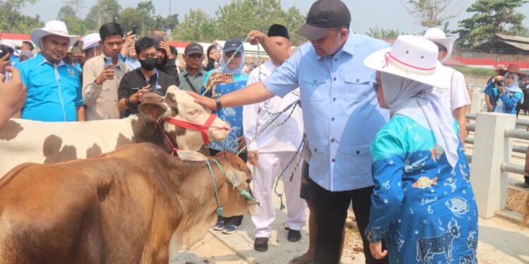 Rudy Susmanto Resmikan Pasar Hewan Jonggol Rp4,93 Miliar, Siap Dongkrak Ekonomi Bogor Timur
