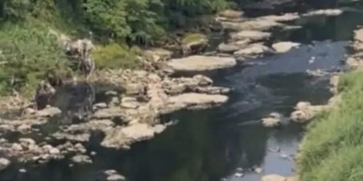 Terungkap! Sungai Cileungsi Menghitam dan Bau, Hasil Uji Lab Ungkap Lebih dari 10 Perusahaan Diduga jadi Penyebab