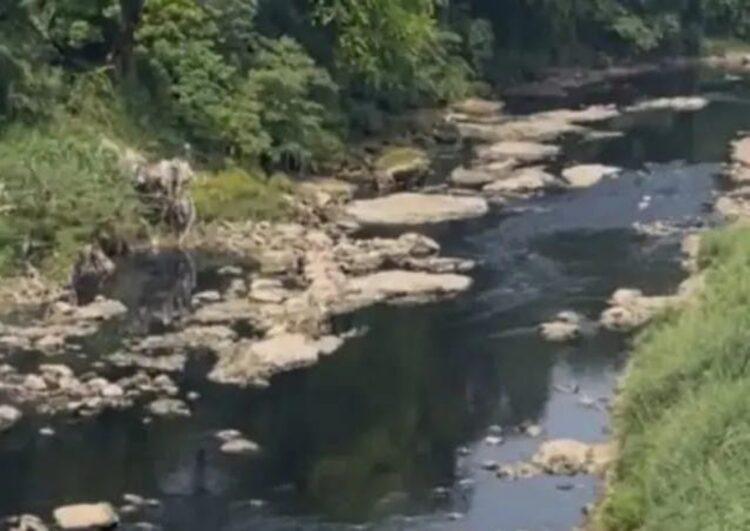 Terungkap! Sungai Cileungsi Menghitam dan Bau, Hasil Uji Lab Ungkap Lebih dari 10 Perusahaan Diduga jadi Penyebab