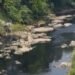 Terungkap! Sungai Cileungsi Menghitam dan Bau, Hasil Uji Lab Ungkap Lebih dari 10 Perusahaan Diduga jadi Penyebab