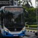 Ke Puncak Bogor Bisa Naik Bus Listrik, Pemkab Siapkan Rute Wisata dari Cibinong