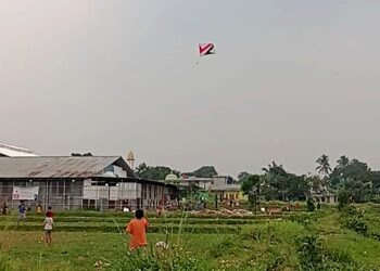 Musim Kemarau Tiba, Persawahan Katulampa Bogor jadi Tempat Favorit Penghobi Layangan