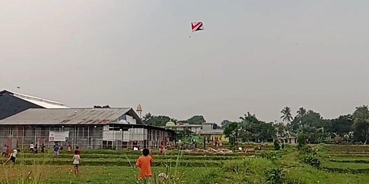 Musim Kemarau Tiba, Persawahan Katulampa Bogor jadi Tempat Favorit Penghobi Layangan