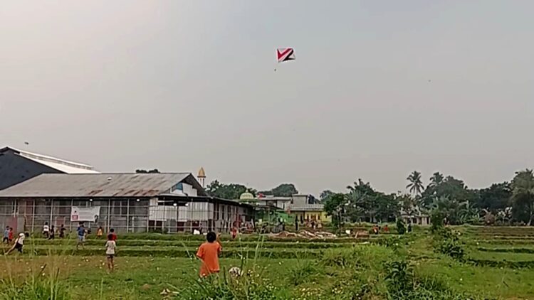 Musim Kemarau Tiba, Persawahan Katulampa Bogor jadi Tempat Favorit Penghobi Layangan