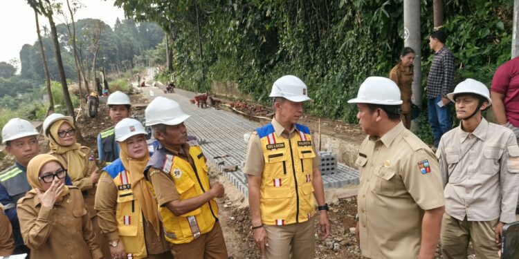 Tinjau Pembangunan Leuweung Batutulis Bogor, Dedie Rachim Kecewa: Ini Harusnya Hutan Kota