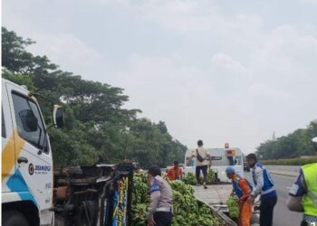 Baut Roda Patah, Suzuki Carry Pengangkut Pisang Terbalik di Tol Jagorawi Citeureup