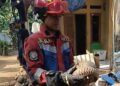 Warga Jonggol Dikejutkan Kemunculan Trenggiling di Halaman Rumah, Damkar Turun Tangan
