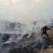 Kebakaran TPA Galuga Bogor Makin Meluas, Petugas Bangun Parit hingga Kerahkan Water Bombing