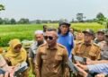 Lahan Pertanian di Bogor Disebut Menyusut, Jenal Mutaqin Minta Data LP2B Diverifikasi Ulang