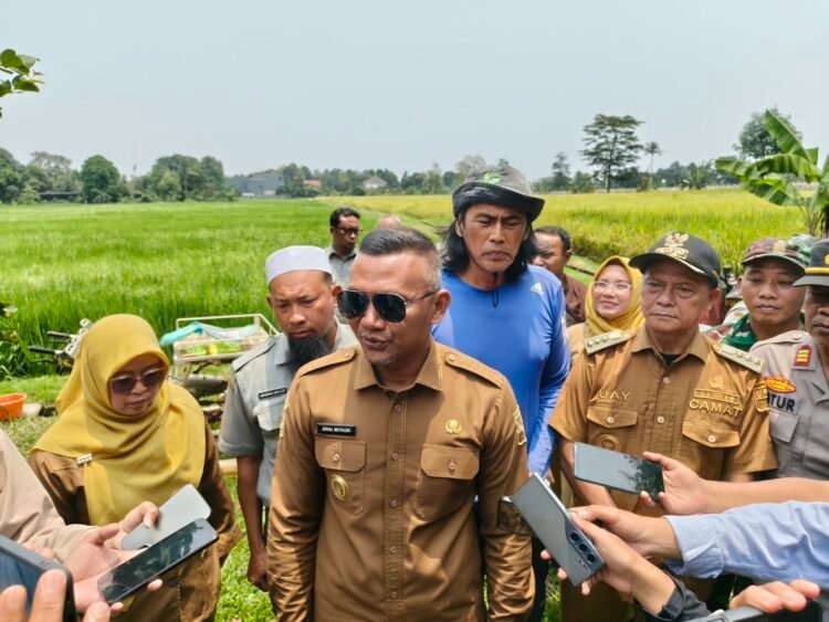 Lahan Pertanian di Bogor Disebut Menyusut, Jenal Mutaqin Minta Data LP2B Diverifikasi Ulang