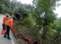 Kemarau Panjang Tinggalkan Retakan Tanah, Pemkab Bogor Waspadai Ancaman Longsor