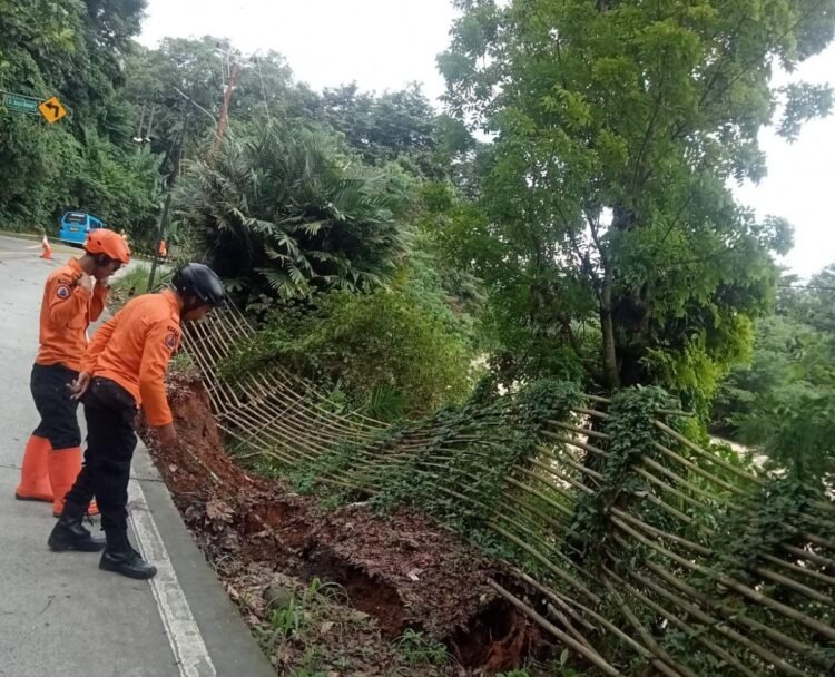 Kemarau Panjang Tinggalkan Retakan Tanah, Pemkab Bogor Waspadai Ancaman Longsor