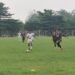 Tim Sepak Bola Kabupaten Bogor Bidik Emas Porprov Jabar 2026, Uji Coba Lawan Tim Lebih Kuat