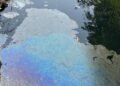 Belum Genap Sebulan Ditinjau Bupati Bogor, Sungai Cileungsi Kembali Menghitam