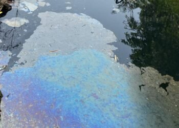 Belum Genap Sebulan Ditinjau Bupati Bogor, Sungai Cileungsi Kembali Menghitam