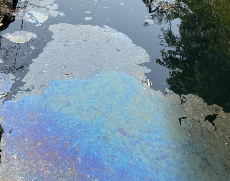 Belum Genap Sebulan Ditinjau Bupati Bogor, Sungai Cileungsi Kembali Menghitam