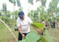 Pemkab Bogor Sulap 220 Hektare Lahan jadi Hutan Kota, Rudy Susmanto Ungkap Harapannya