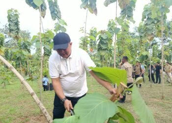 Pemkab Bogor Sulap 220 Hektare Lahan jadi Hutan Kota, Rudy Susmanto Ungkap Harapannya