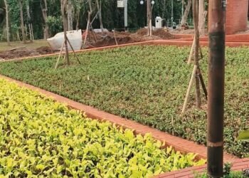 Konsep Penataan Batutulis Bogor Berubah, dari Leuweung Kini jadi Taman