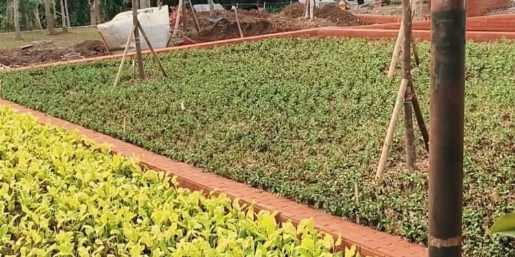 Konsep Penataan Batutulis Bogor Berubah, dari Leuweung Kini jadi Taman